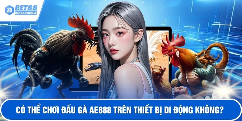 Có thể chơi đấu gà ae8888 trên thiết bị di động không?